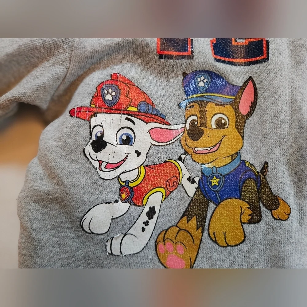 Nickelodeon Boys Gray Team Paw Patrol Long Sleeve Zip Up Hoodie Size 6